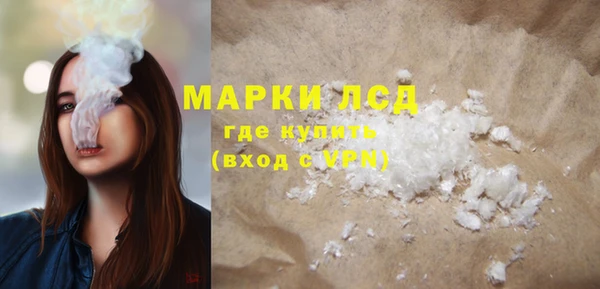 прущие грибы Лабытнанги