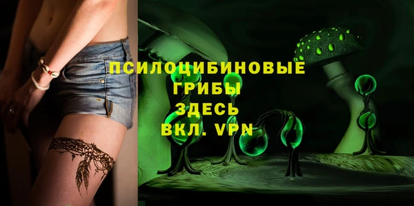 СК Нижний Тагил