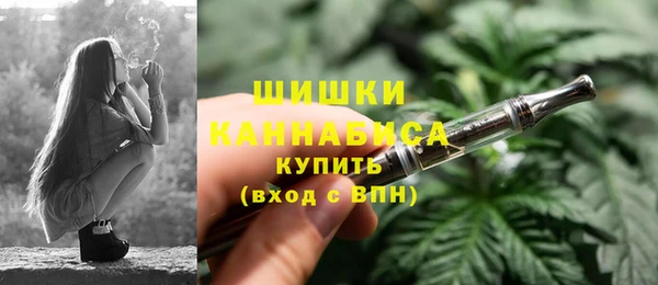 стаф Кулебаки