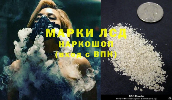 стаф Кулебаки