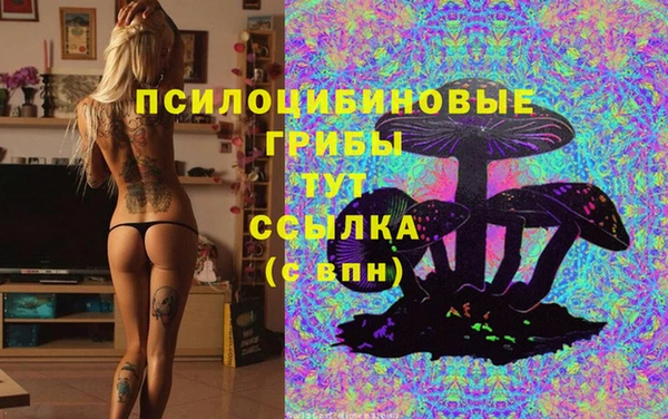 мескалин Ладушкин