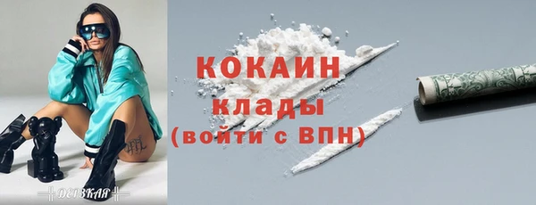 прущие грибы Лабытнанги