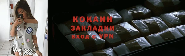 стаф Кулебаки
