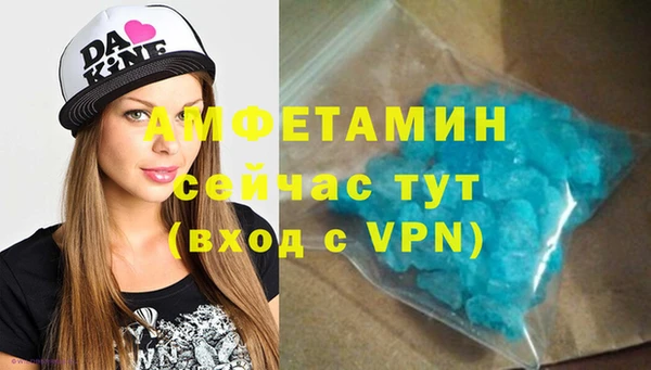прущие грибы Лабытнанги