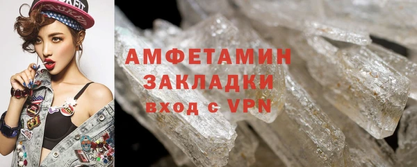 прущие грибы Лабытнанги