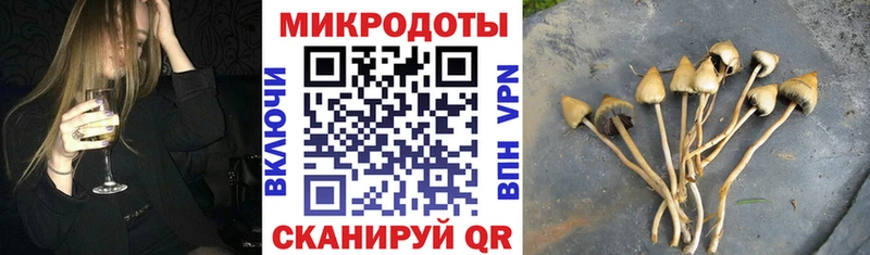 OMG tor  Клинцы  Псилоцибиновые грибы мухоморы 