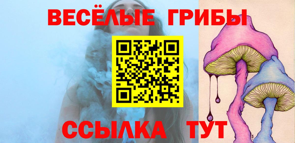 Псилоцибиновые грибы мицелий  Вход с VPN  даркнет сайт  Псилоцибиновые грибы MAGIC MUSHROOMS  Клинцы 