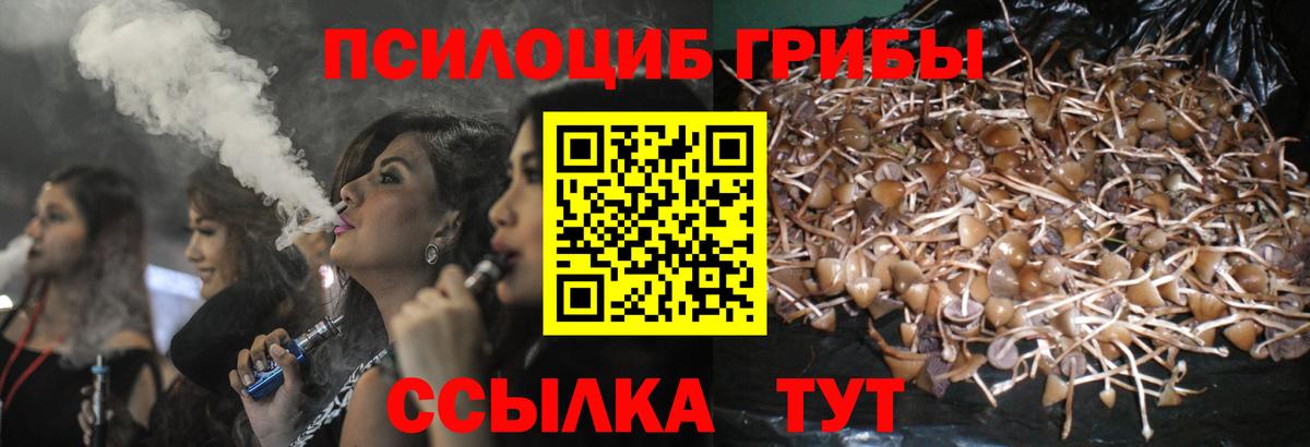 Псилоцибиновые грибы прущие грибы Клинцы